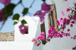 balcony with flowers