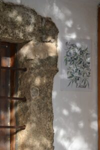 olive room name at yoga on crete, greece